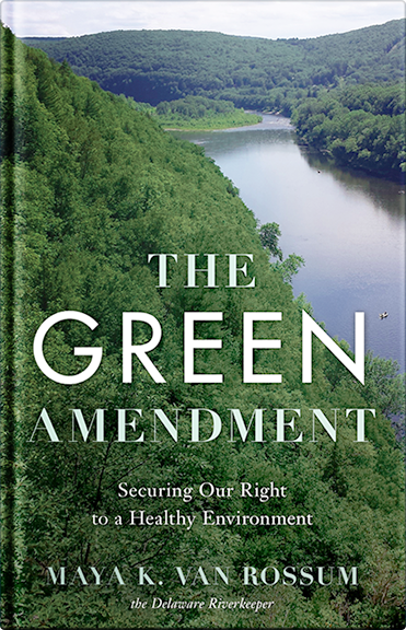 The Green Amendment Book